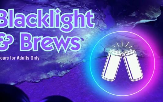 Black Light & Brews Milwaukee